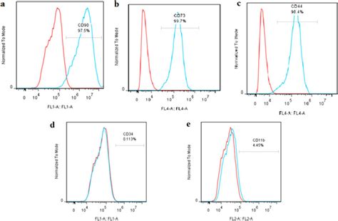 Flow Cytometry Analysis Used For Characterization Of Human Ad Mscs