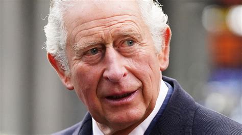 King Charles Appears Completely Unfazed By Public Egging