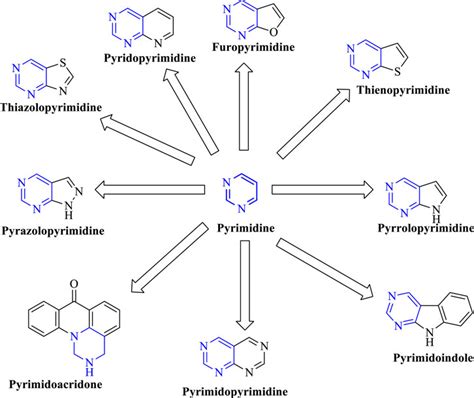 Frontiers A Review On Fused Pyrimidine Systems As EGFR Inhibitors And