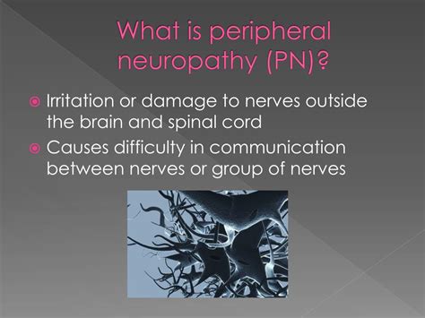 Ppt Peripheral Neuropathy Powerpoint Presentation Free Download Id