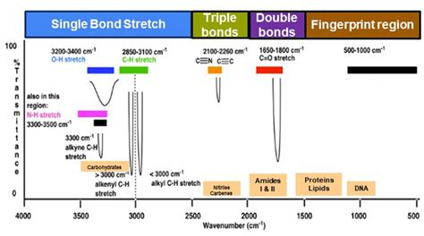 Applications Of Fourier Transform Infrared Spectroscopy In Microbial