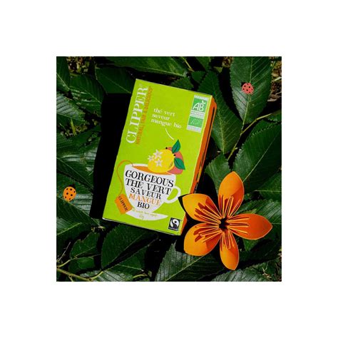 Clipper Th Vert Bio Mangue Sachets Coffee Webstore