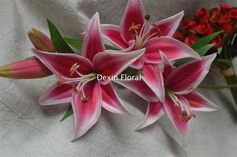 Pink Tiger Lily Flowers