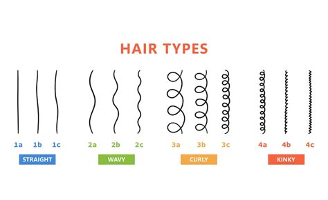 Hair Type Chart: Everything You Need to Know | Fashionterest