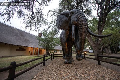 Letaba Rest Camp Kruger National Park Travel For Wildlife