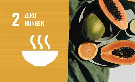 The Contribution Of Predictive Tech To Sdg 2 Zero Hunger Hemav