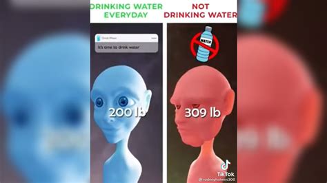 It's Time to Drink Water: Video Gallery | Know Your Meme