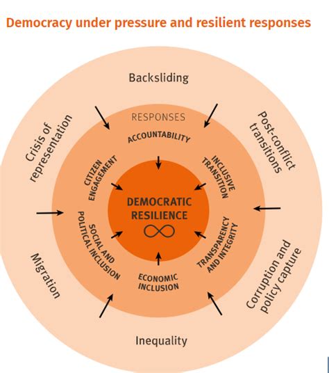 Strengthen Institutions To Reinforce Democratic Resilience Democracy