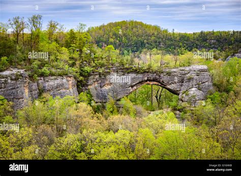 Big South Fork National River and Recreation Area Stock Photo - Alamy