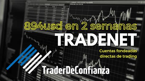 Es Posible Vivir Del Trading Usd En Semanas Con Cuenta Tradenet