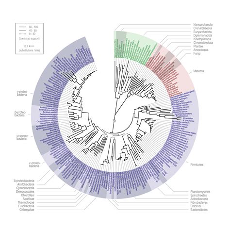 The Origin Of Life The Rise Of The Oxygen Evolving Complex