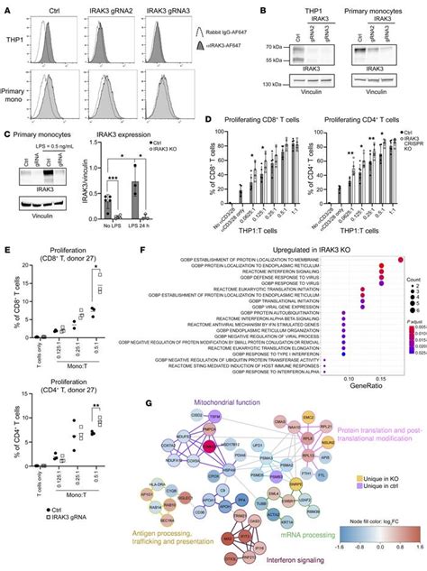 Jci Il 1 Receptor Associated Kinase 3 Acts As An Immune Checkpoint In