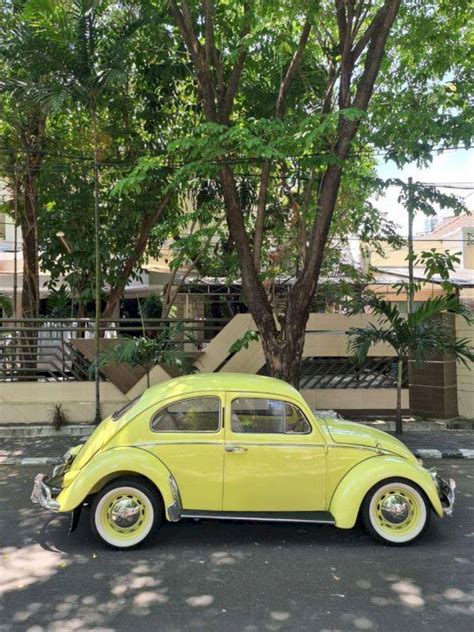 Vw Beetle Kodok Semaphore Dijual Co Id