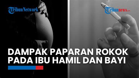 Pajanan Rokok Pada Ibu Hamil Bisa Berdampak Pada Bayi Youtube