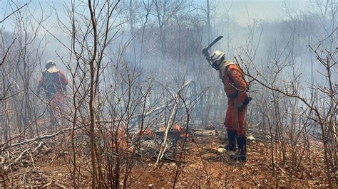 Incêndios florestais seguem em diversas regiões da Bahia Mais de 200