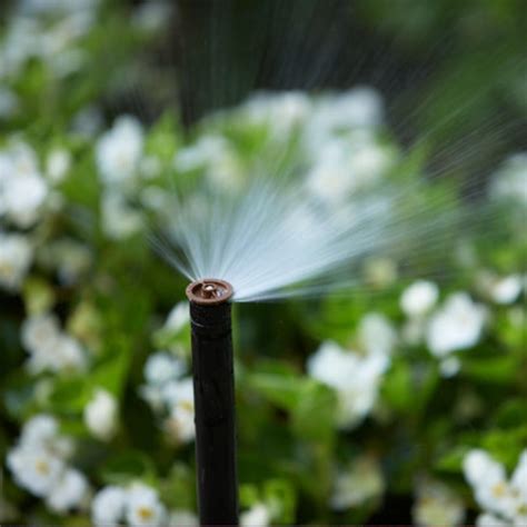 Rain Bird 8ft To 12ft Rh Scrubbler Full Nozzle Bunnings Australia