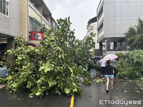 快訊／台中午後大雨路樹倒塌 2汽機車慘遭壓毀 Ettoday社會新聞 Ettoday新聞雲