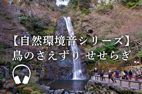 【自然環境音シリーズ】鳥のさえずり せせらぎ Pipeline株式会社