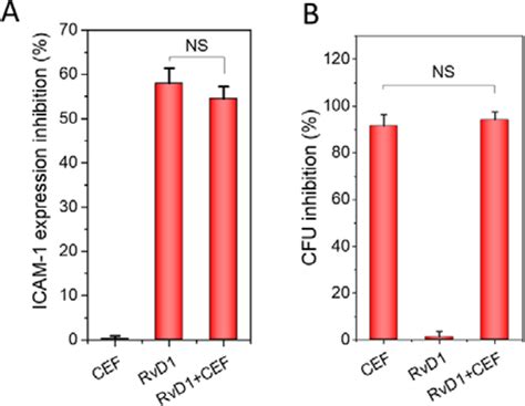 Human Neutrophil Membrane Derived Nanovesicles As A Drug Delivery