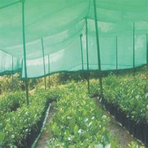 Hdpe Plastic Green Agro Shed Net For Agriculture Size X Mtr At