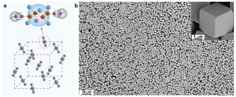 Light Science And Applications发表黄维院士团队刘小网课题组关于柔性x射线成像方面的研究进展 视窗 西北工业大学新闻网