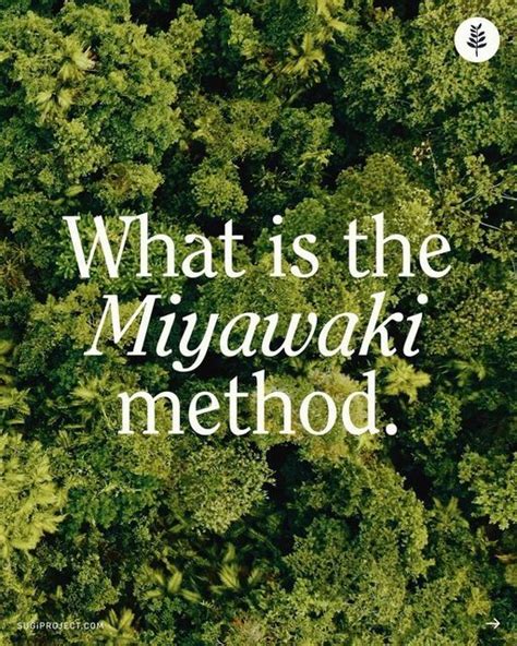 Sugi On Instagram The Miyawaki Method Is A Type Of Afforestation Used