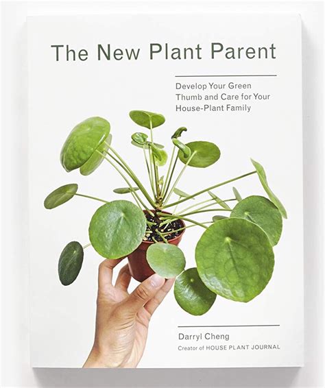 The New Plant Parent Plantsmith Indoor Plants