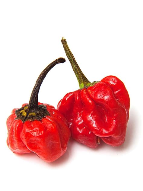 Scotch Bonnet Pepper A Spicy Treat From The Caribbean