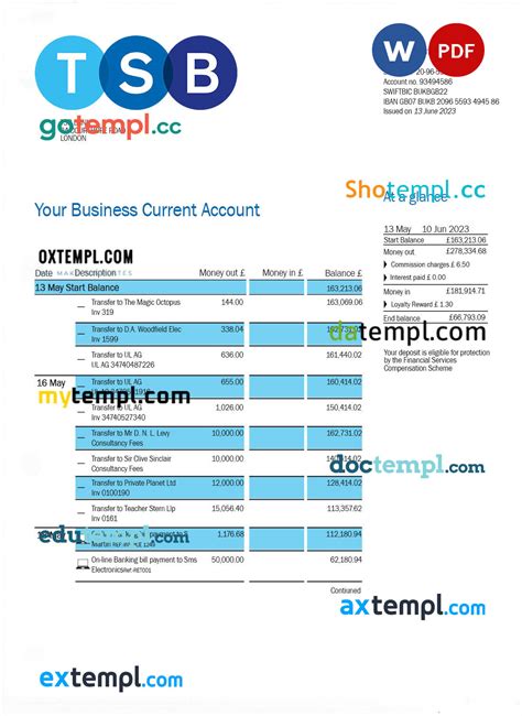 TSB Bank firm account statement Word and PDF template