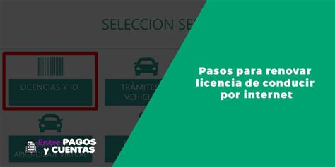 Cómo Renovar La Licencia De Conducir En Puerto Rico En 2025