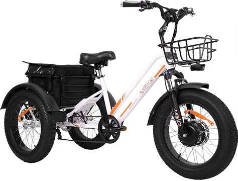 DWMEIGI Vélo électrique à 3 roues pour adulte avec moteur de 500 W