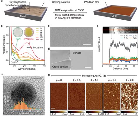 Conductive Pansion From The In Situ Grown Agnps A Schematic Of The