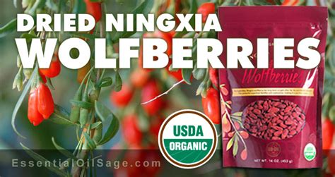 Ningxia Wolfberries Goji Berries Essential Oil Sage