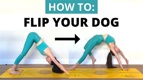 How To Flip Your Dogwild Thing In Yoga Camatkarasana Youtube