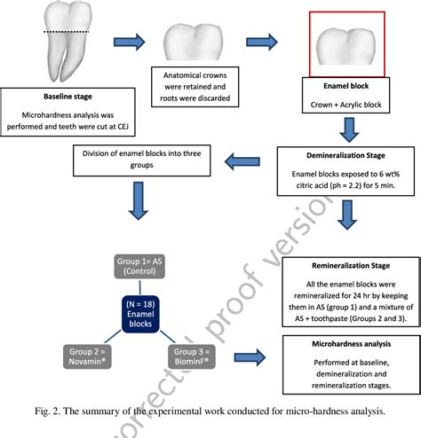 Figure From An In Vitro Evaluation Of Fluoride Content And Enamel