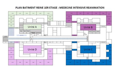 plan REINE MAJ Médecine Intensive Réanimation