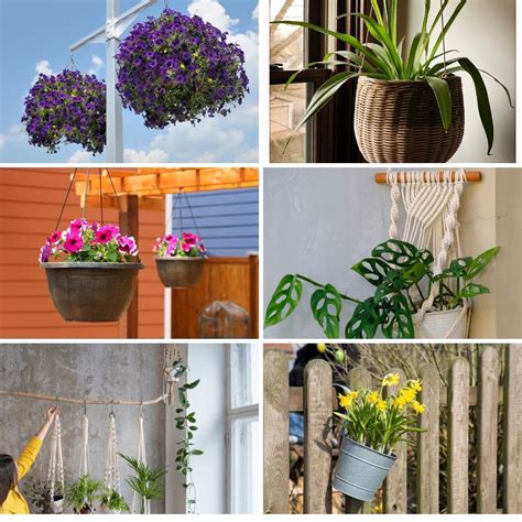 18 Methods to Cling Your Crops Small House Gardening Concepts - The Pro Garden