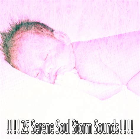 25 Serene Soul Storm Sounds Album By Relaxing Rain Sounds