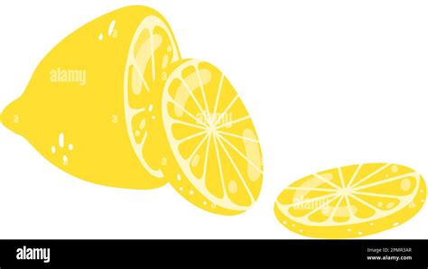 Set Of Hand Drawn Lemons Vector Illustration Of Cut Lemon And Slices Tasty Citrus Healthy