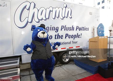 61 Charmin Bears Photos & High Res Pictures - Getty Images