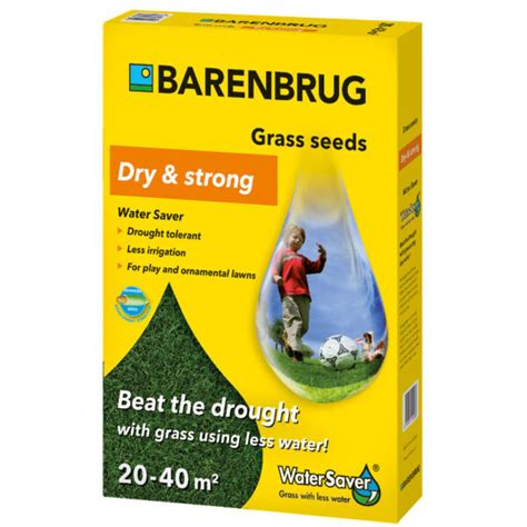 Barenbrug Water Saver Dry Strong E Trawy Pl