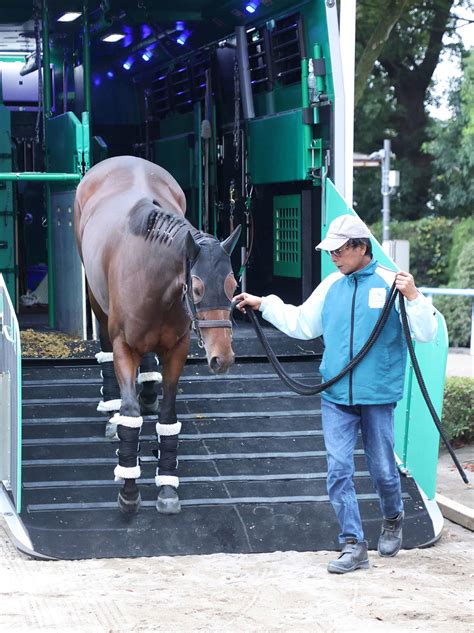 【天皇賞・秋】「勇姿をみてほしい」昨年の3冠牝馬リバティアイランド1年ぶり勝利へ東京到着 競馬写真ニュース 日刊スポーツ