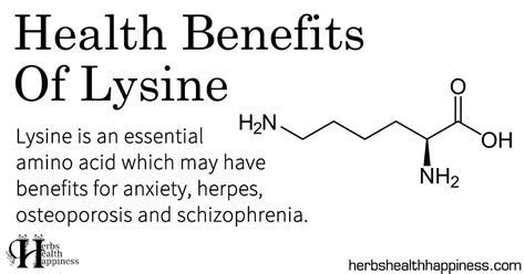 Health Benefits Of Lysine Herbs Health And Happiness