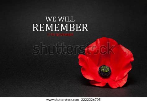 Poppy Pin Remembrance Day Poppy Flower Stock Photo 2222326705 ...