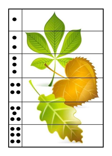 An Image Of Leaves And Numbers On The Grids To Make It Look Like They