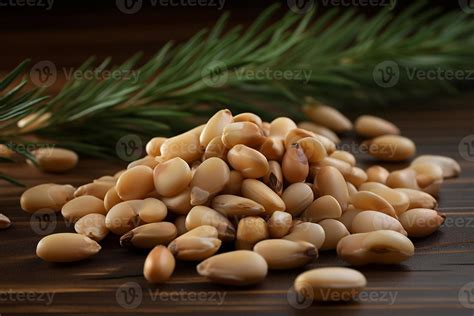 Cleaned cedar seeds. 22720088 Stock Photo at Vecteezy