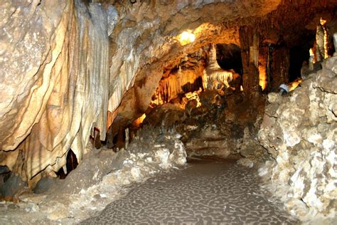 Florida Caverns State Park, A Florida State Park Located Near Marianna ...