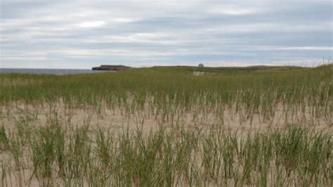 La Dune Derrière La Plage De La Grande Échouerie Réserve Flickr