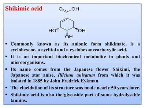 Shikimic acid pathway | PPT