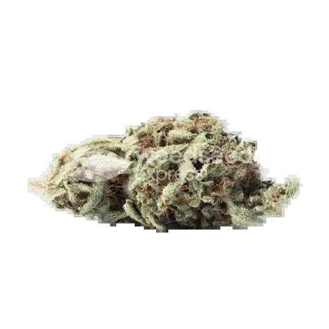 ᐅ Italian Ice seeds • Feminized • WeedSeedsExpress